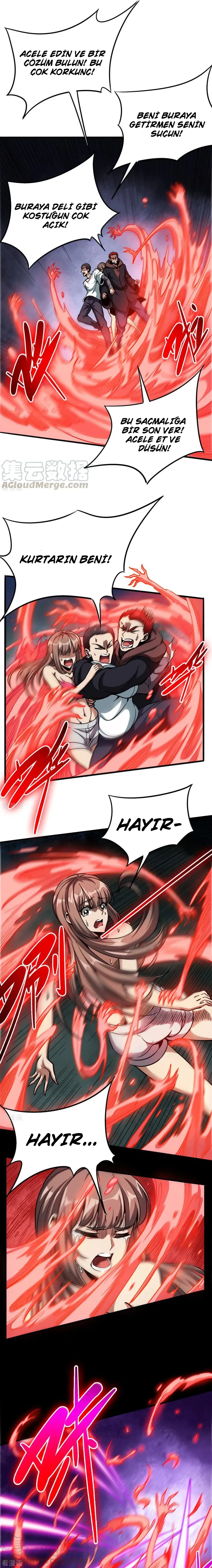 Sayfa 5
