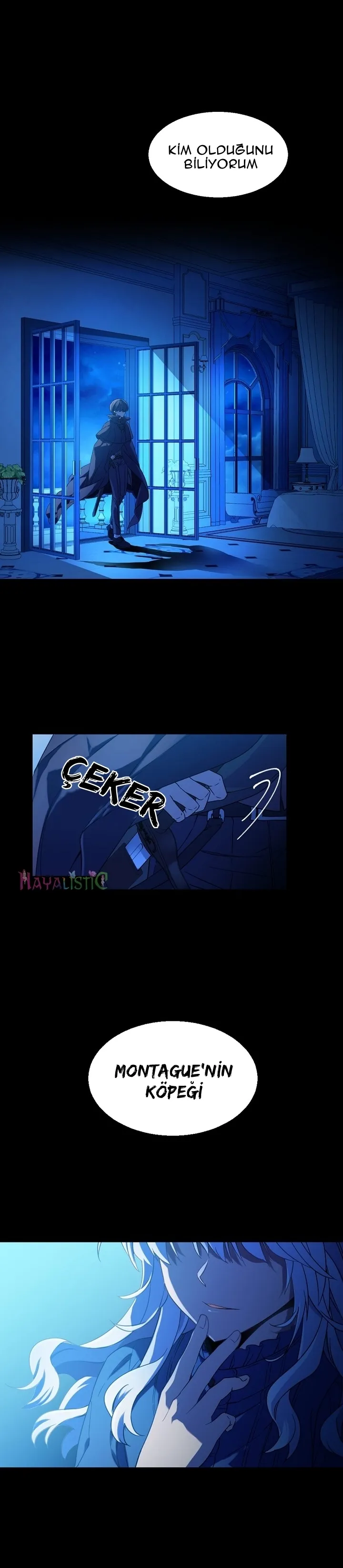 Sayfa 4