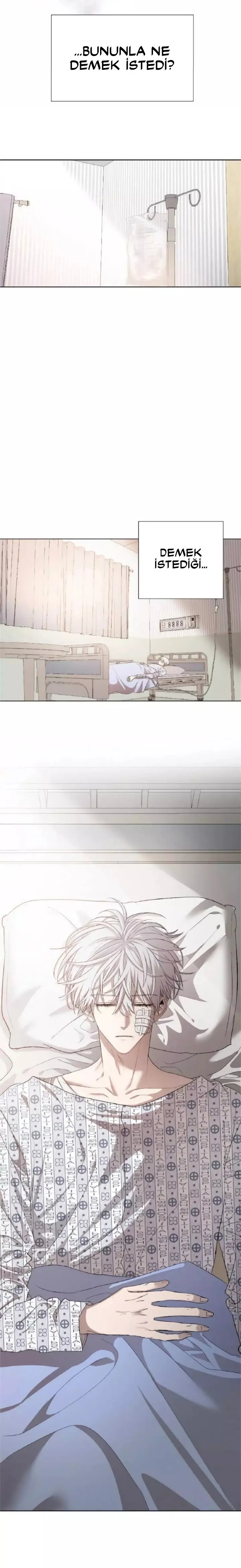 Sayfa 5