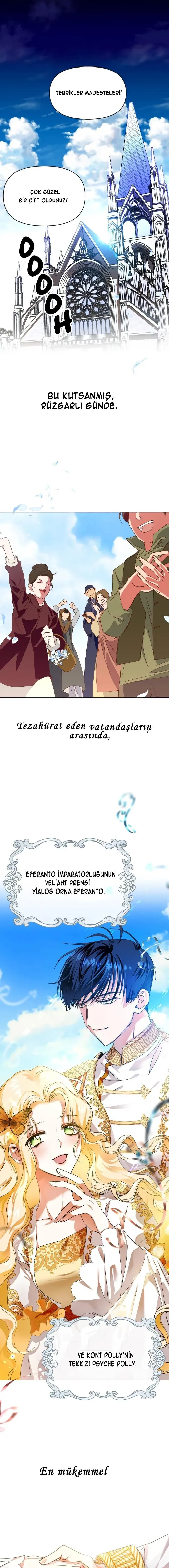 Sayfa 2