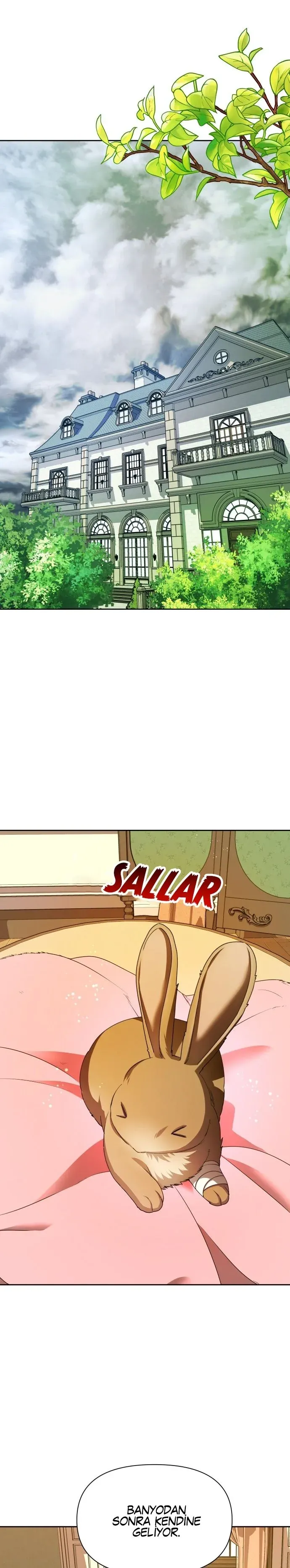 Sayfa 5