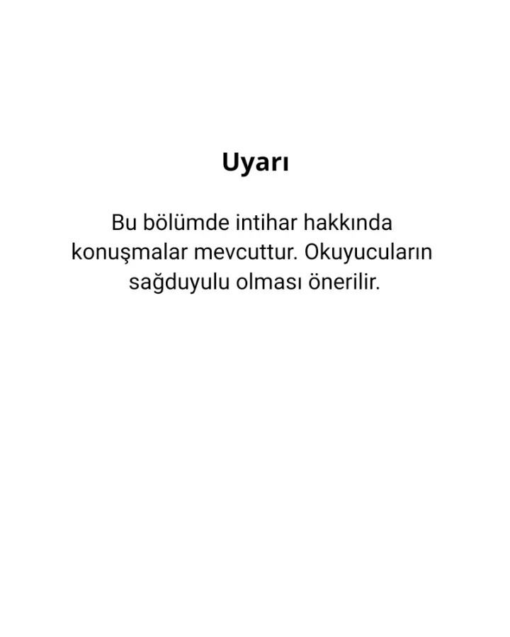 Sayfa 2