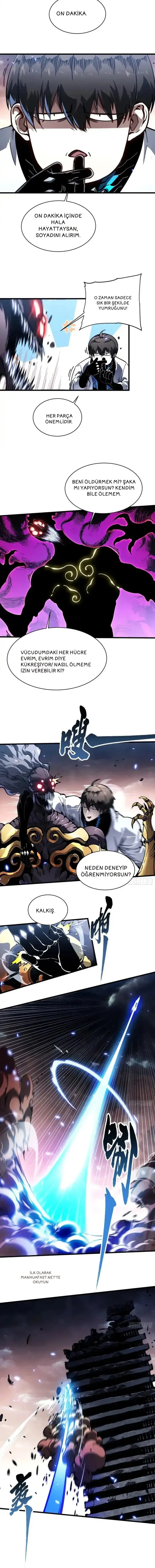 Sayfa 4