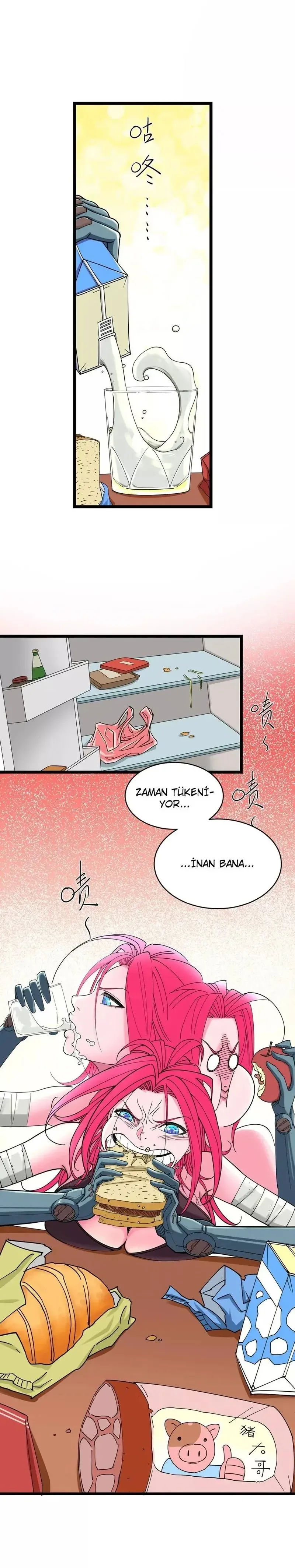 Sayfa 1