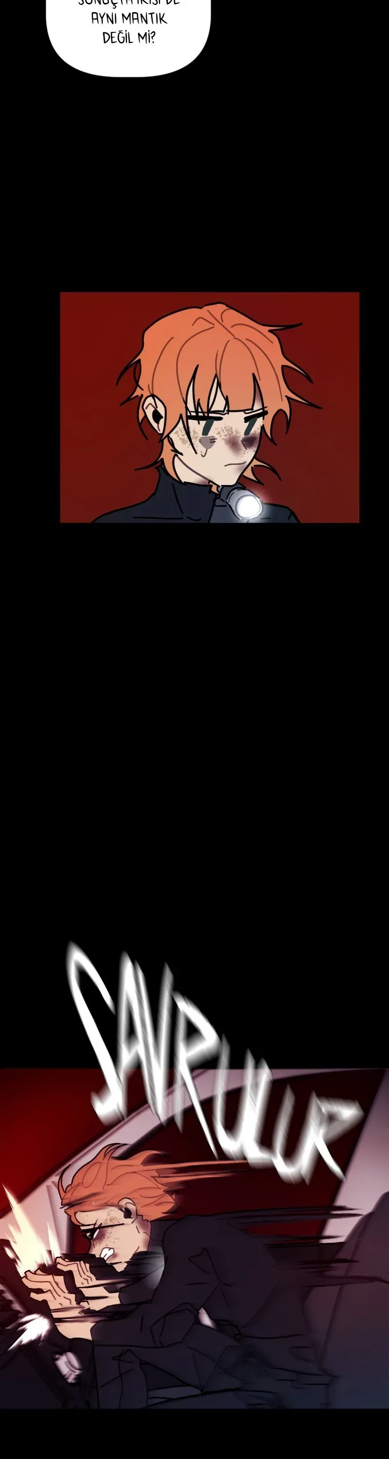 Sayfa 5