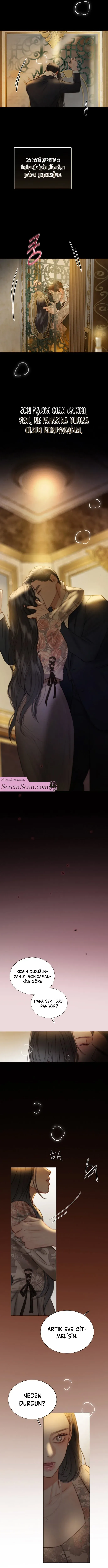 Sayfa 6