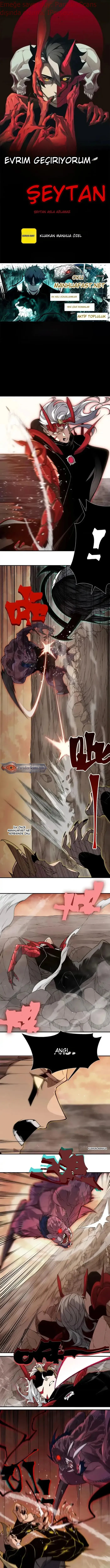 Sayfa 1