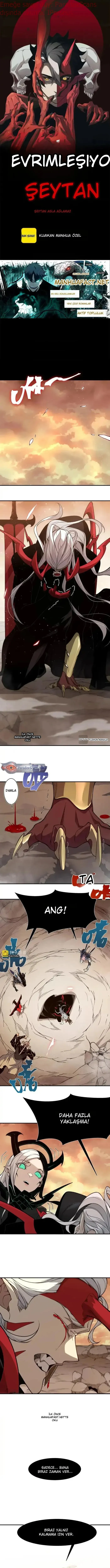Sayfa 1