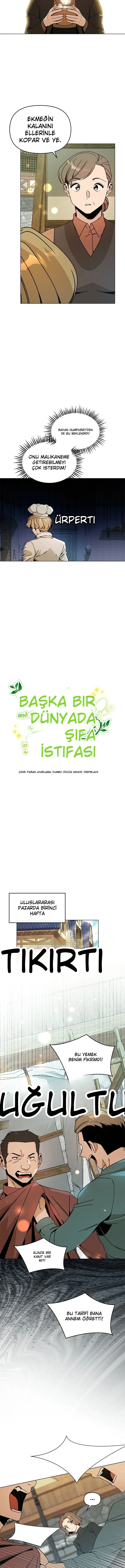 Sayfa 3