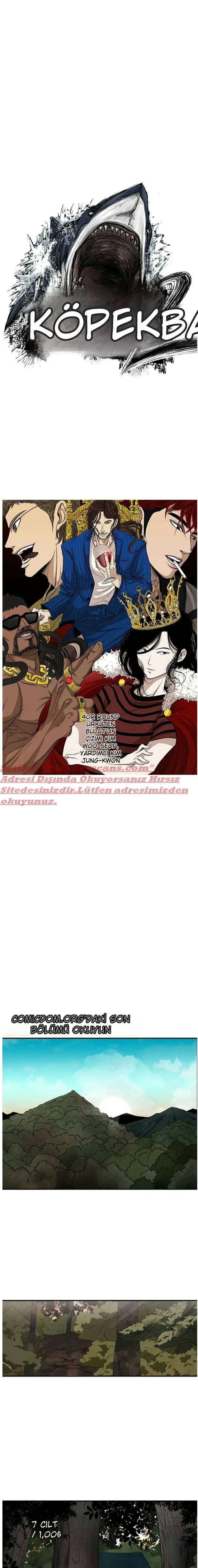 Sayfa 1