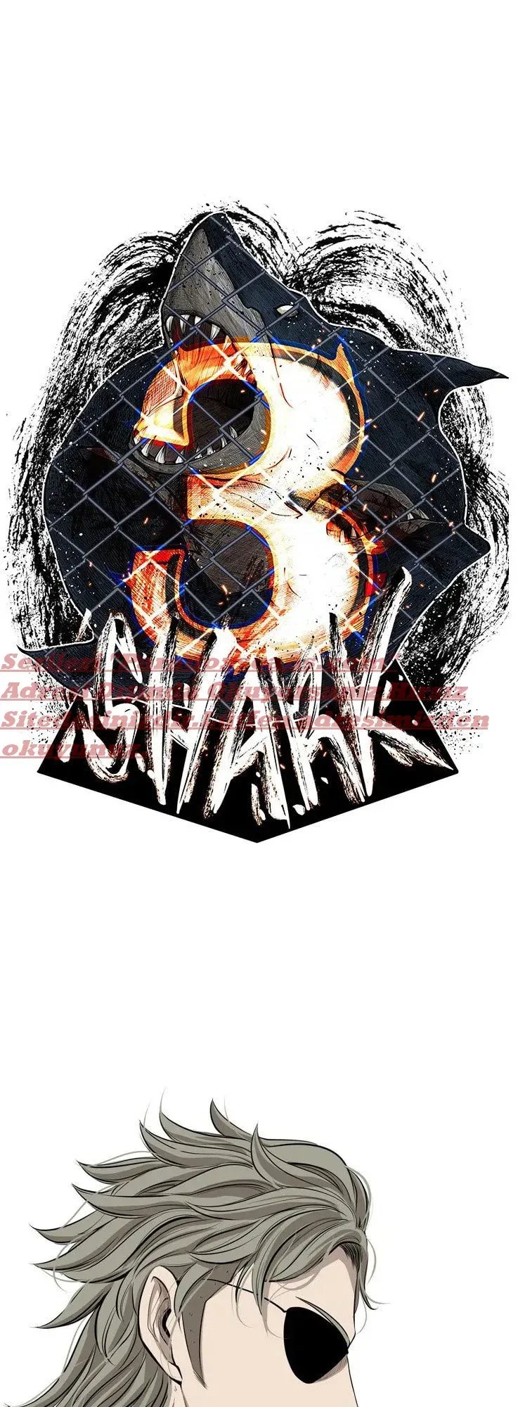 Sayfa 1