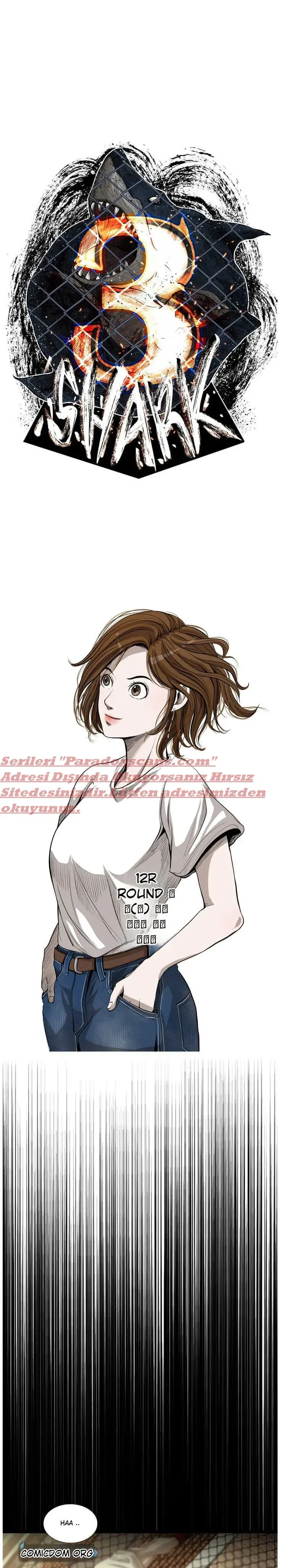 Sayfa 1