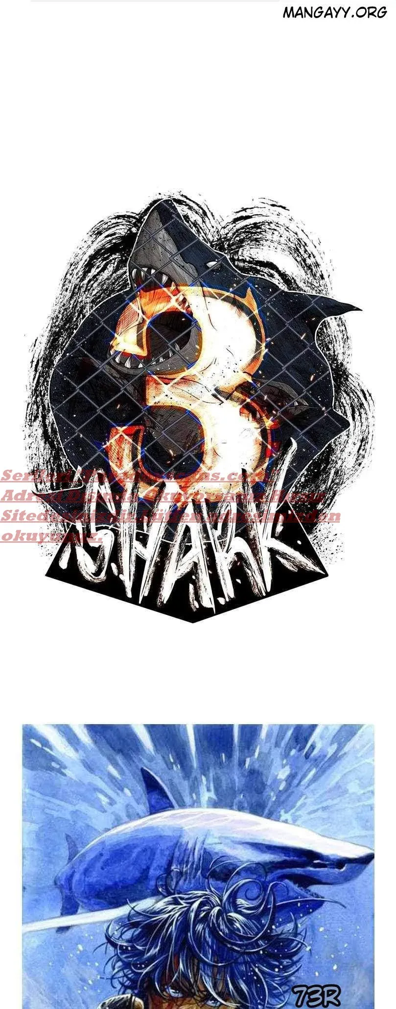 Sayfa 1