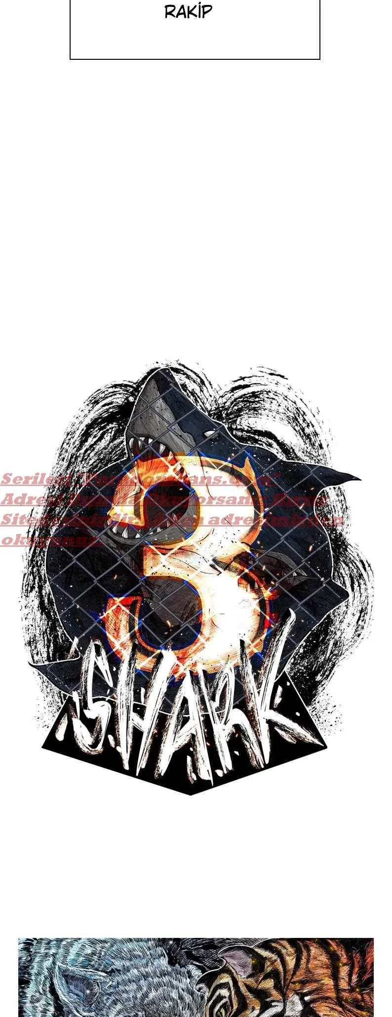 Sayfa 4
