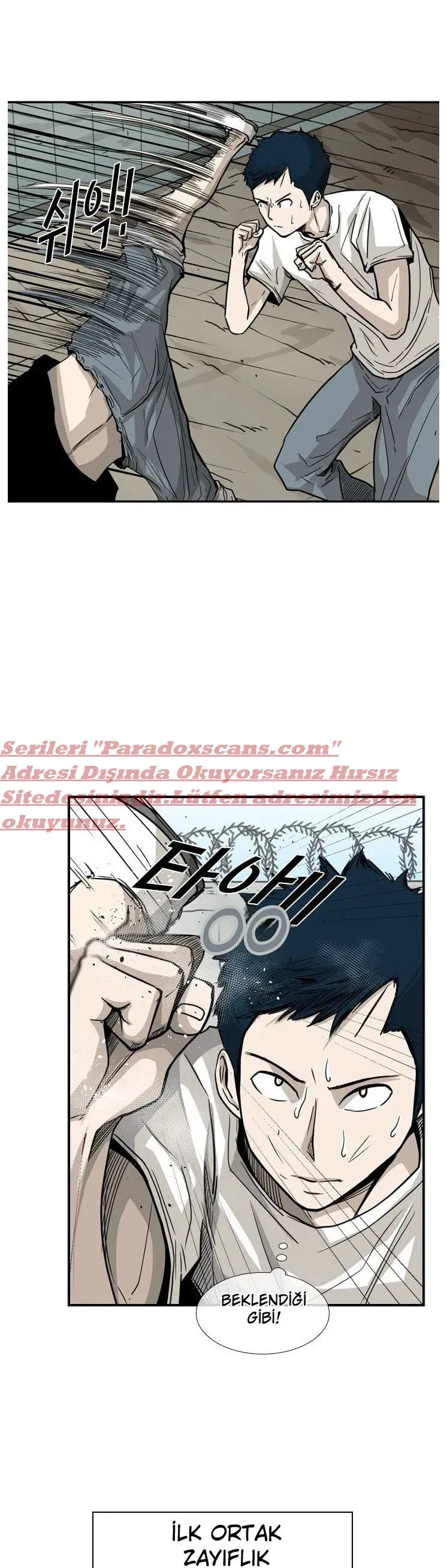Sayfa 5