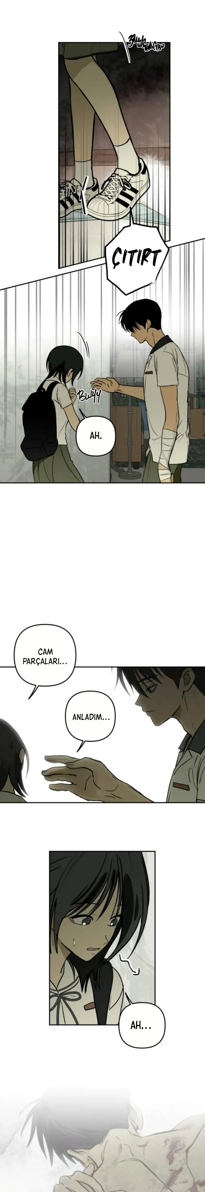 Sayfa 5