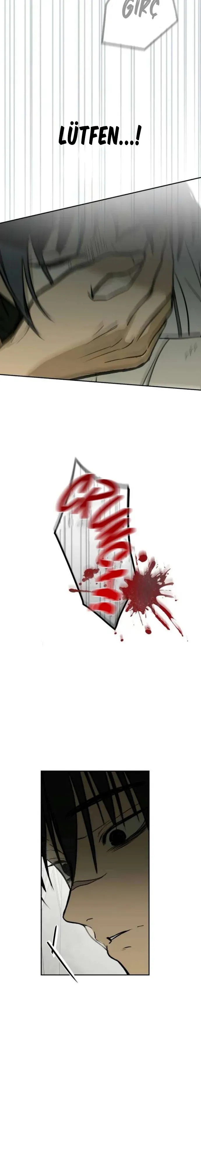 Sayfa 5