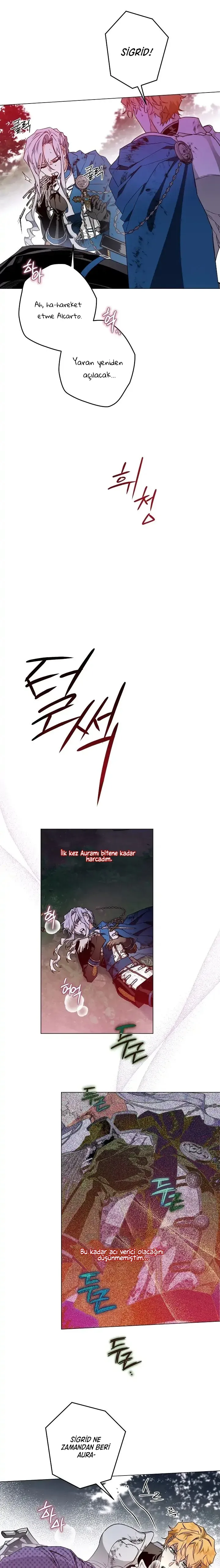 Sayfa 5