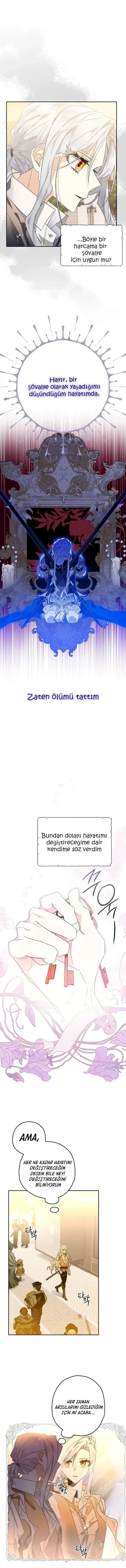 Sayfa 5