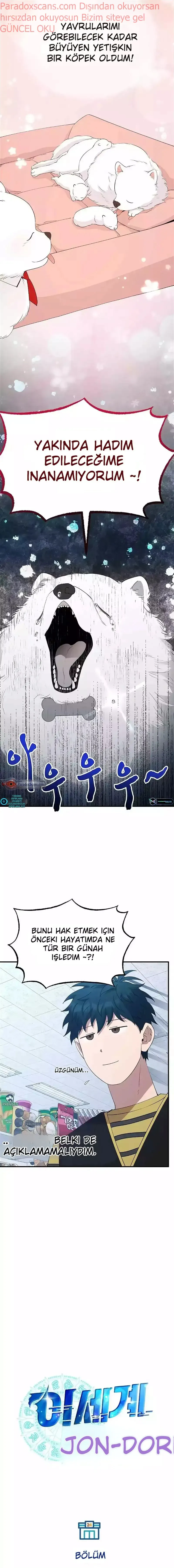 Sayfa 5