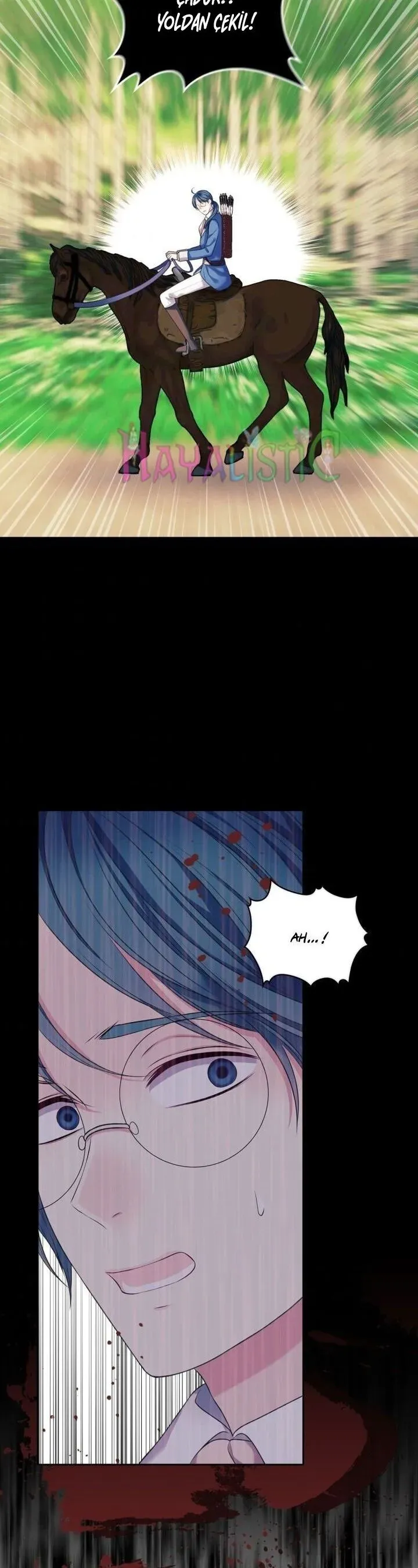 Sayfa 5