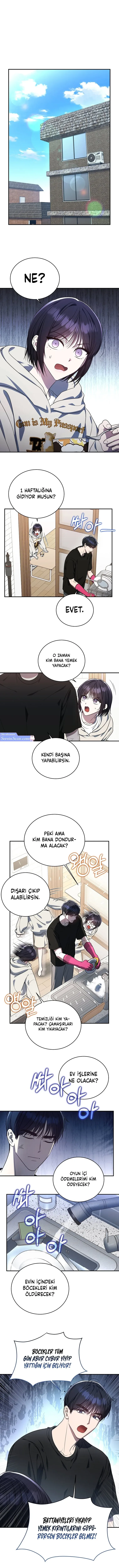 Sayfa 6