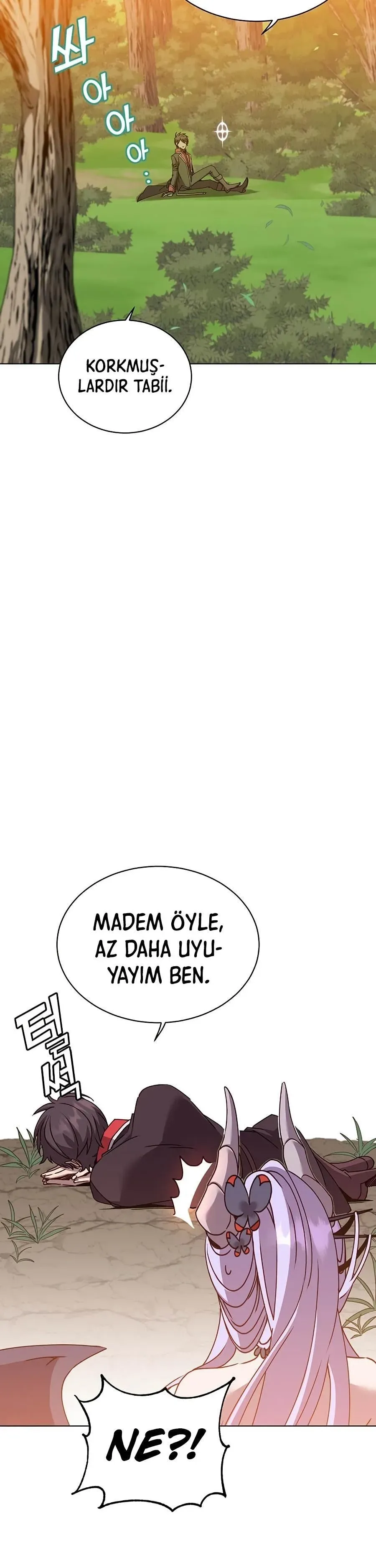 Sayfa 5