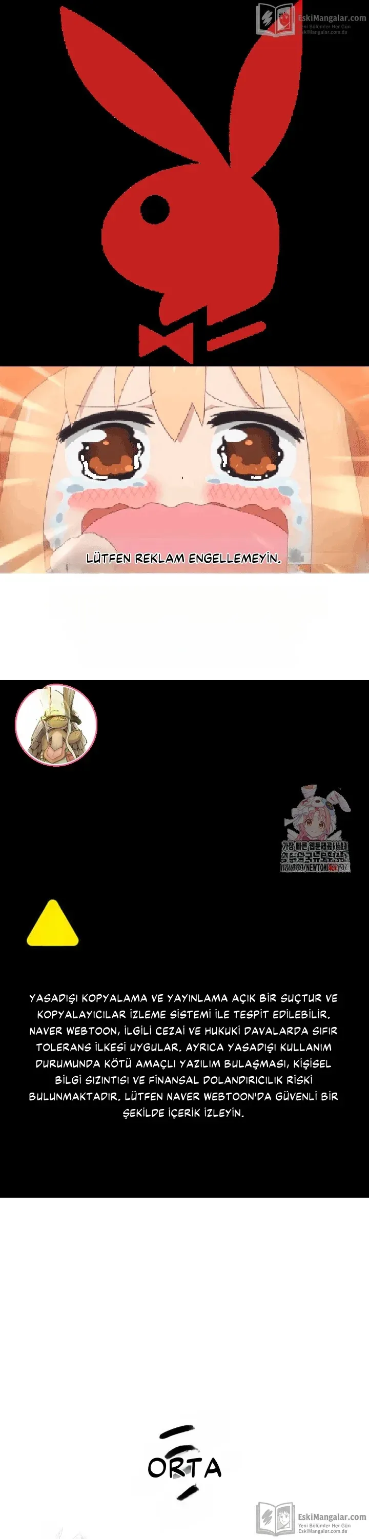 Sayfa 1
