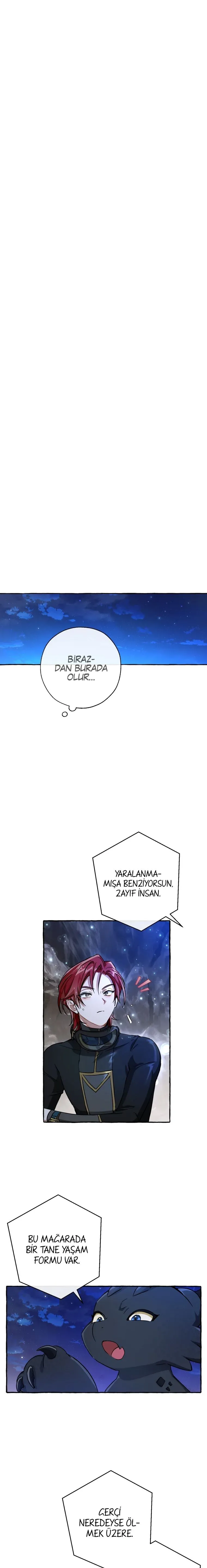 Sayfa 4