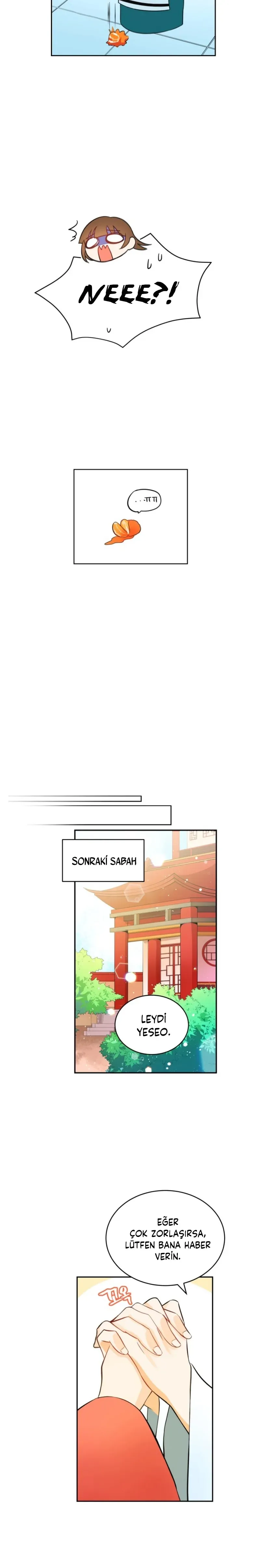 Sayfa 6