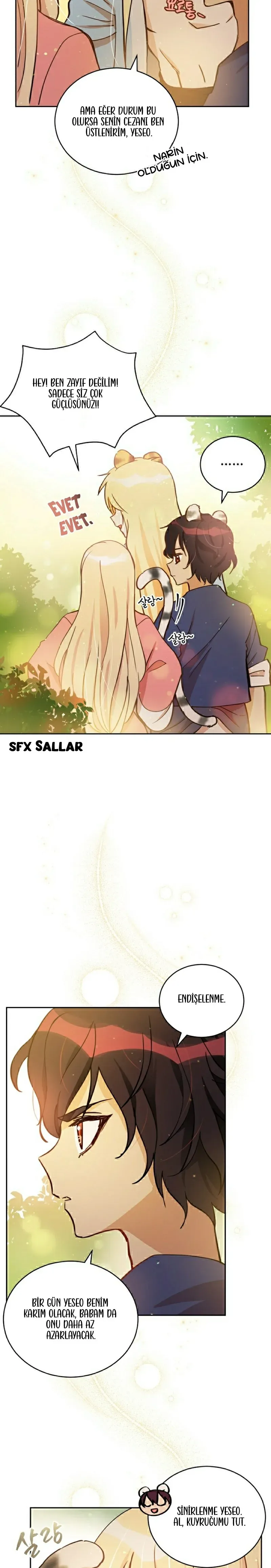 Sayfa 5