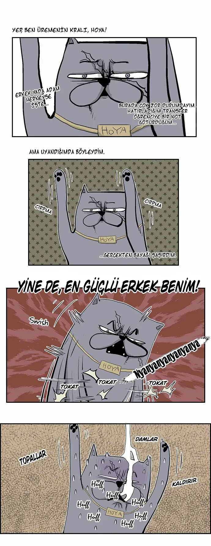 Sayfa 2
