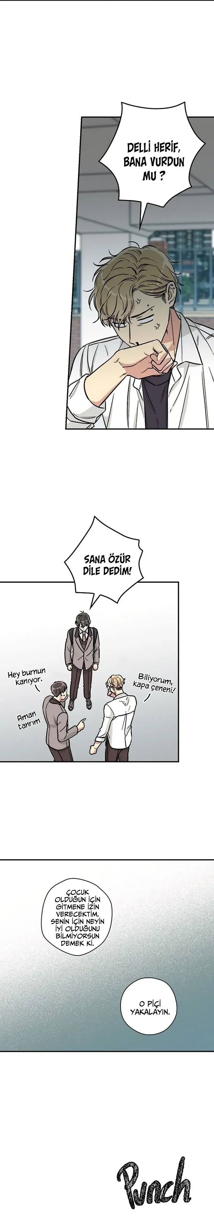 Sayfa 5