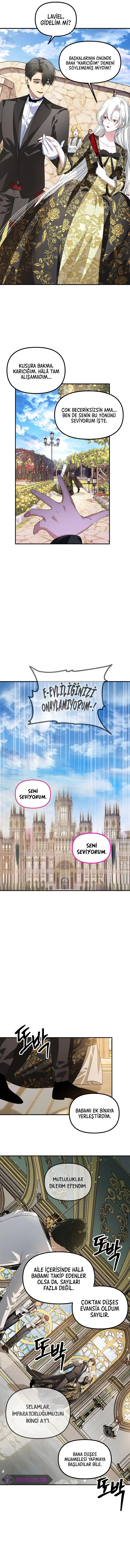 Sayfa 5