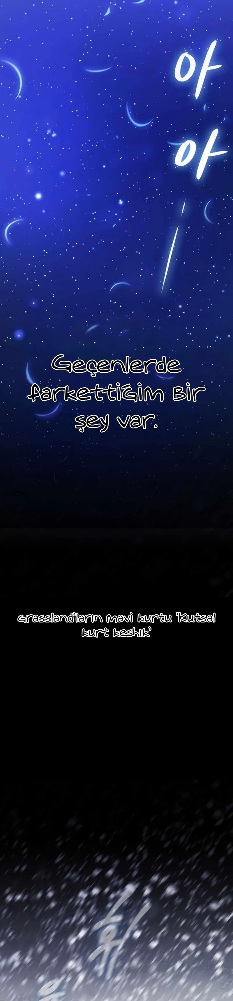 Sayfa 4