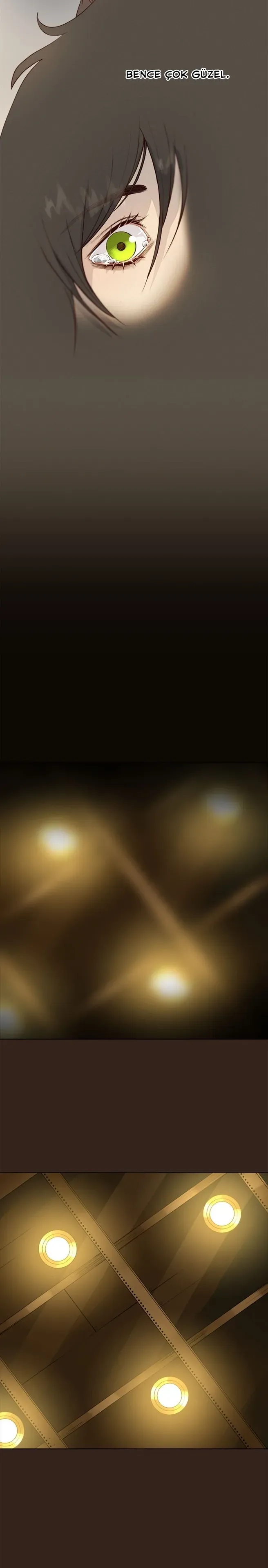 Sayfa 5