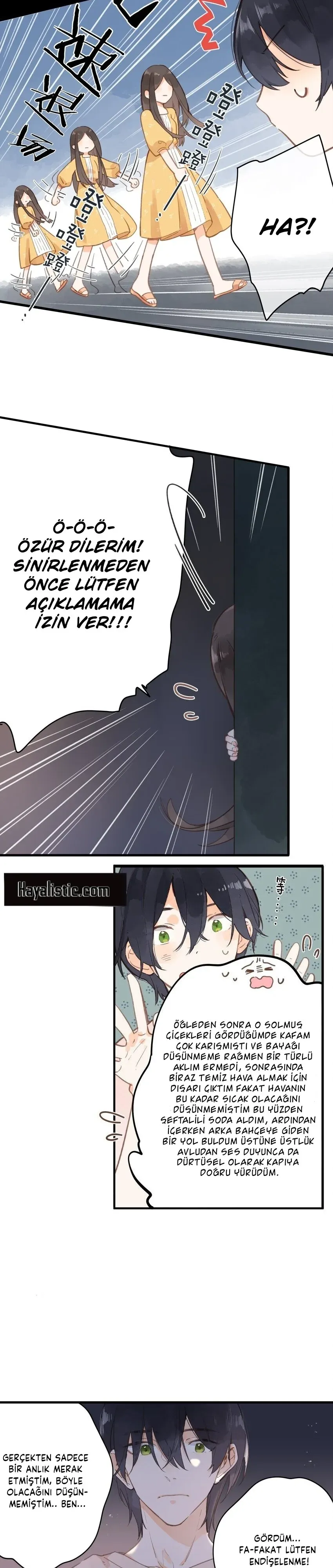 Sayfa 4