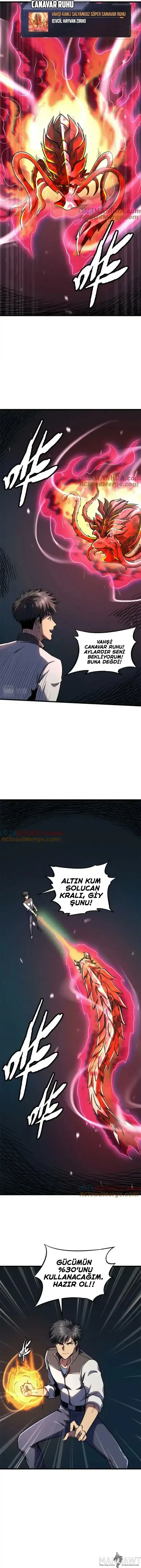 Sayfa 5