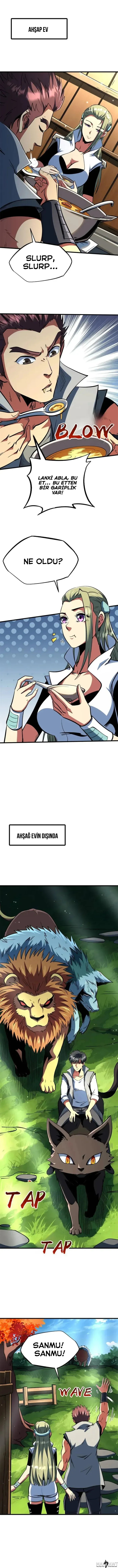 Sayfa 1