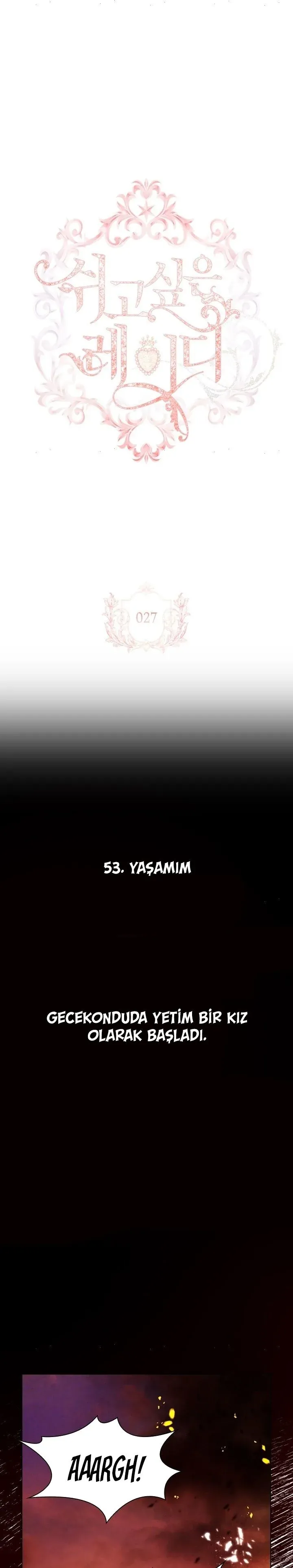 Sayfa 2