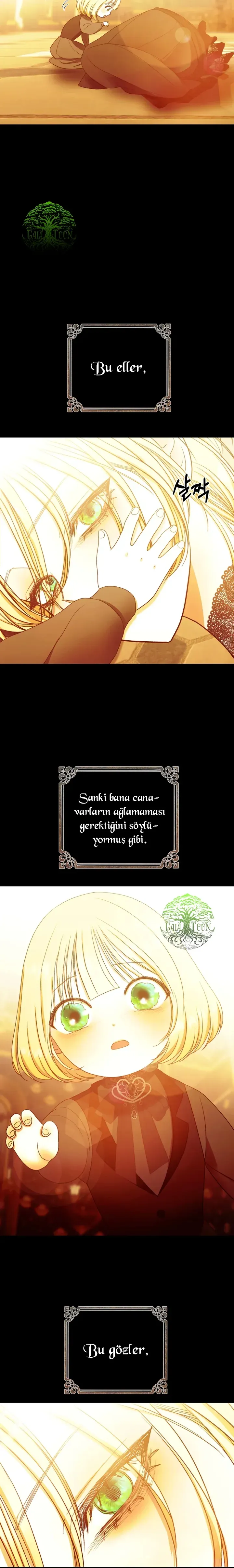 Sayfa 6