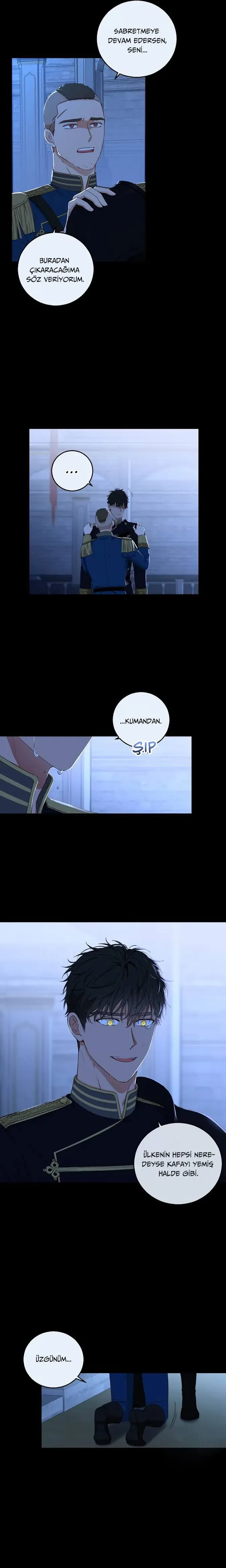 Sayfa 5