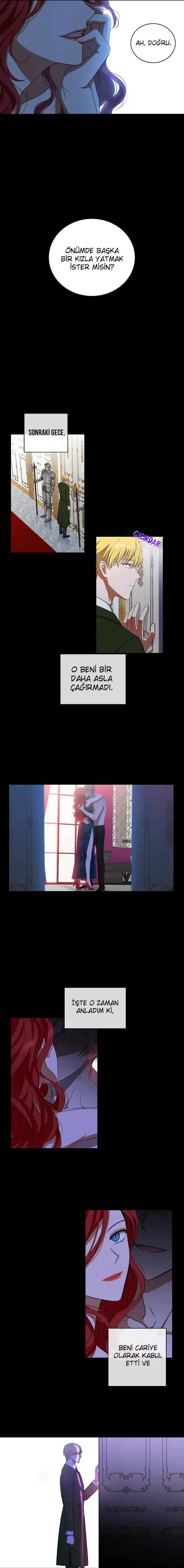 Sayfa 5
