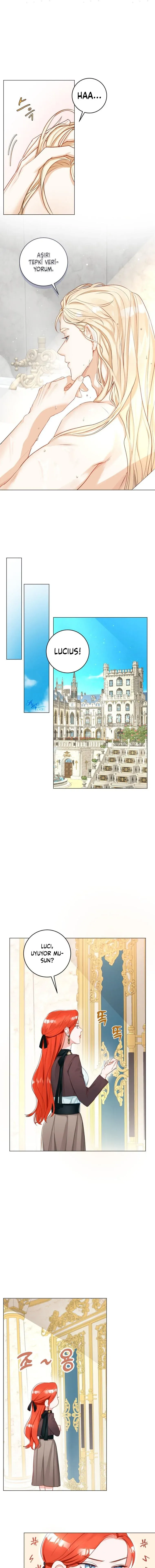 Sayfa 5