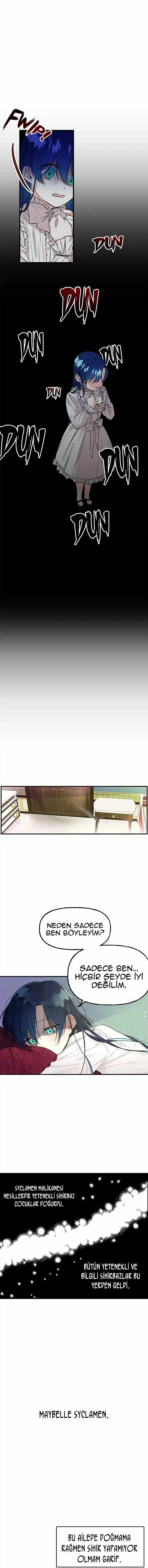 Sayfa 4