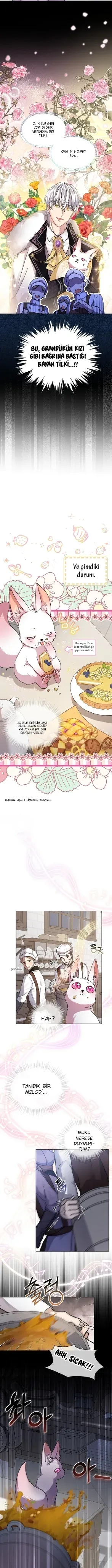 Sayfa 3