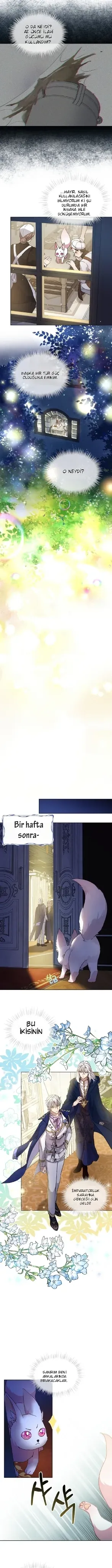Sayfa 5