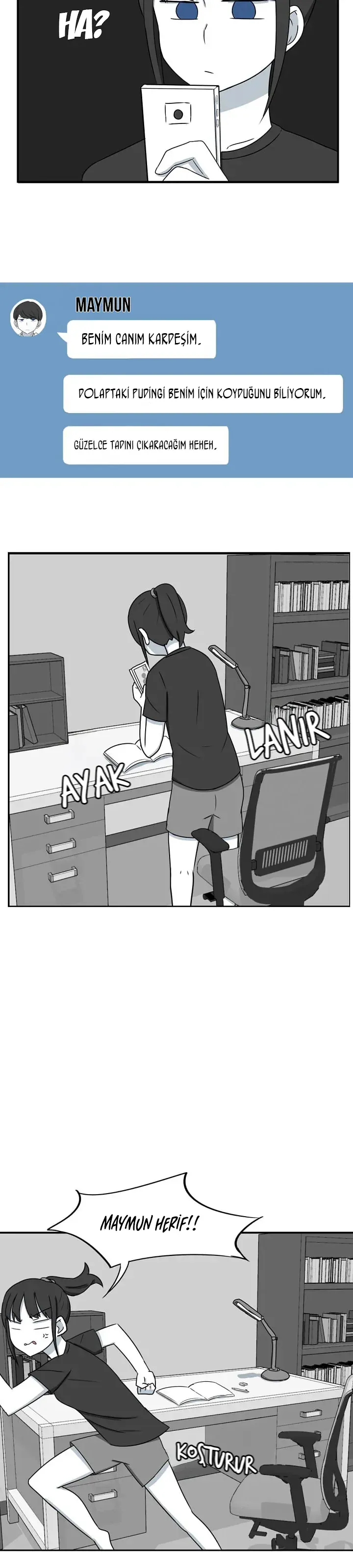 Sayfa 5