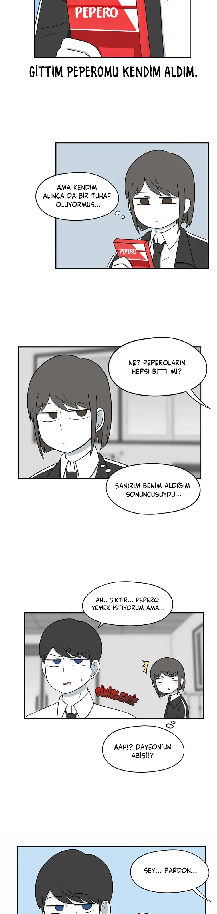 Sayfa 6