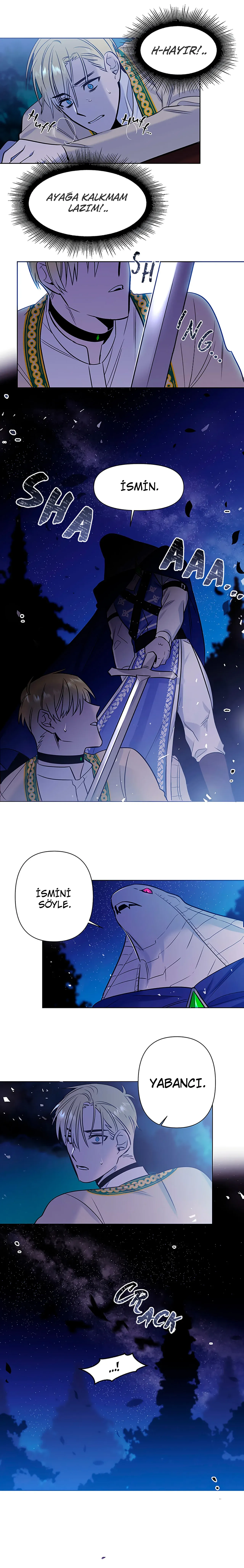 Sayfa 4